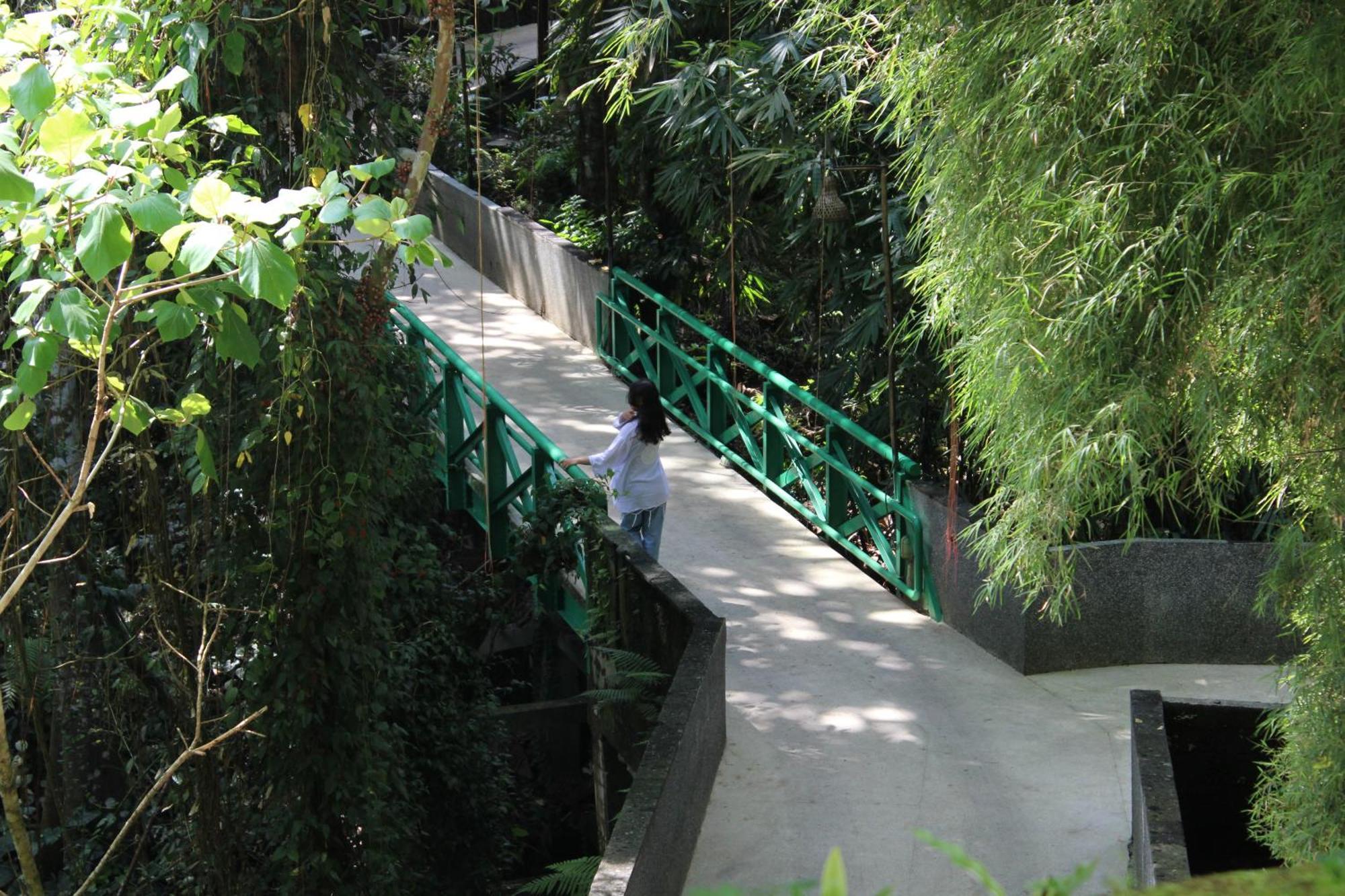 Ubud Hills Villas & Resort Tegallalang  Εξωτερικό φωτογραφία