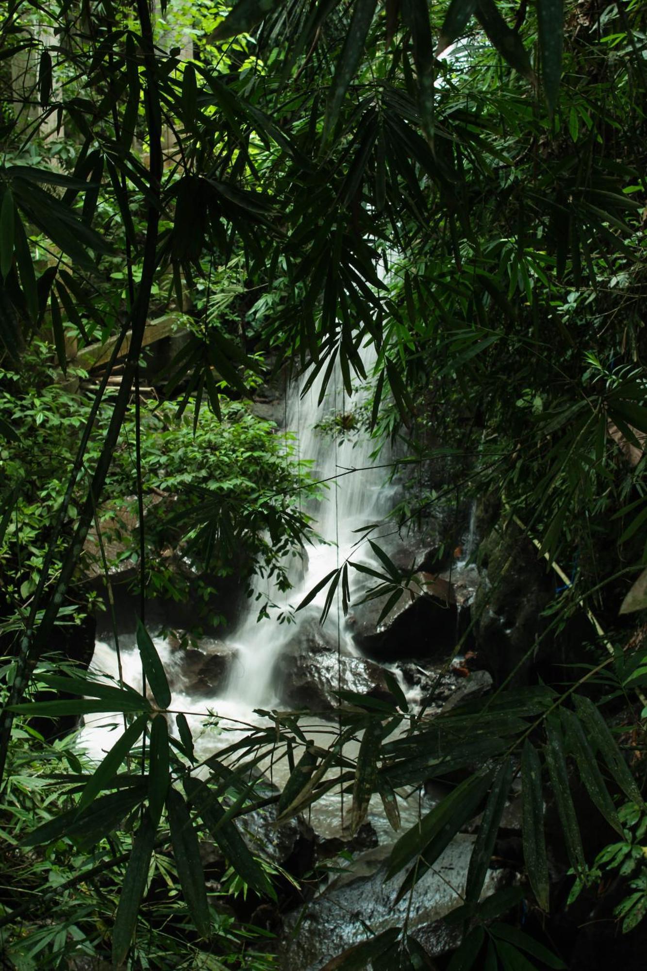 Ubud Hills Villas & Resort Tegallalang  Εξωτερικό φωτογραφία